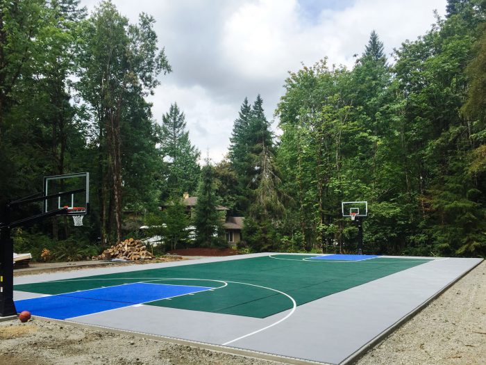 Gray, evergreen, and blue backyard multi-court with lines